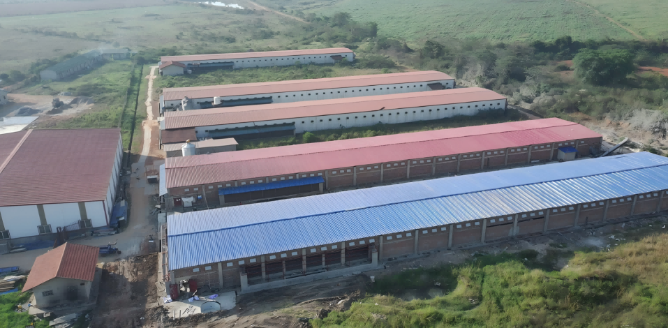 Uganda 1 Milyon Katman Projesi