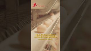 Farmrob | Kırılma oranı %0,2 olan stabil yumurta toplama #tavuk çiftliği #tavuk #fabrikaürünleri