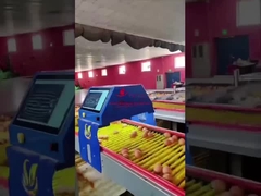 Farmrob 99.8% Doğruluk Akıllı Yumurta Sayıcısı 25W 220V 50HZ ISO9001 Onaylı
