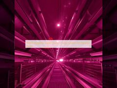 80000 Pakistan çiftlikleri için hijyenik katmanlı tavuk kafesi sistemi