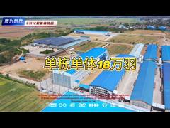 12 katlı 6 sıra katmanlı çiftlik