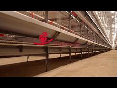 Farmrob | Tavukların doğal çiftleşmesi için damızlık ekipmanı