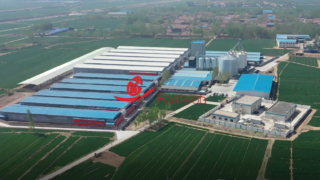 Farmrob | Shandong'da 3 milyon yumurtacı çiftliği