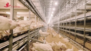 Farmrob refah sistemi