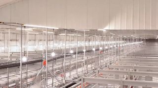 İyi performansa sahip Farmrob kafessiz sistem